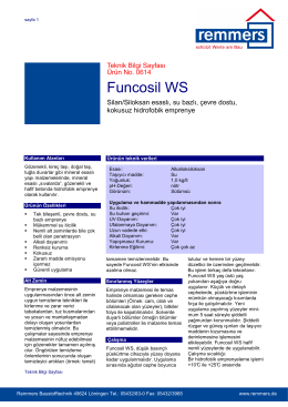 Funcosil WS teknik bilgi