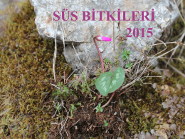 Süs Bitkileri 2015 ders notları