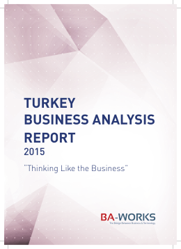 TURKEY BUSINESS ANALYSIS REPORT