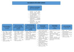 Organizasyon Şeması - BEÜ Dış İlişkiler Genel Koordinatörlüğü