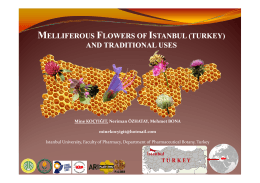 melliferous flowers of istanbul (turkey) and traditional uses