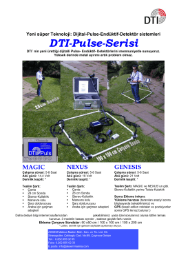 DTI-Pulse-Serisi
