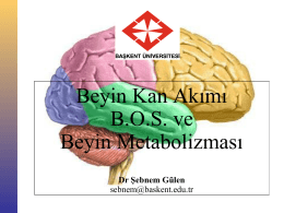Beyin Kan Akımı B.O.S. ve Beyin Metabolizması