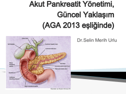 Akut Pankreatit Yönetimi, Güncel Yaklaşım (AGA 2013 eşliğinde)