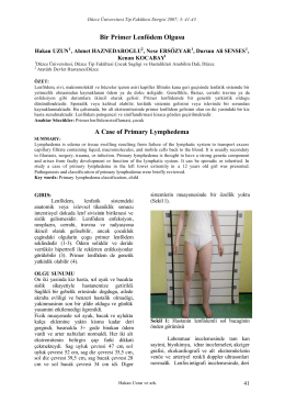 Bir Primer Lenfödem Olgusu - Düzce Üniversitesi Tıp Fakültesi Dergisi
