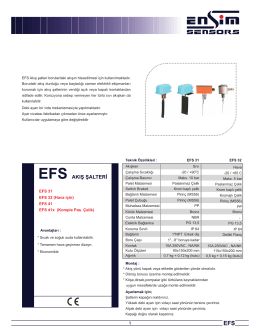 Model _EFS31