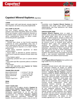 Capatect Mineral Kaplama (Çizgi Doku)