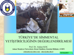Türkiye`de Simmental sığırı yetiştiriciliği