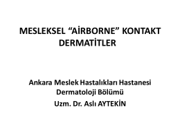Airborne Mesleksel Dermatozlara Klinik