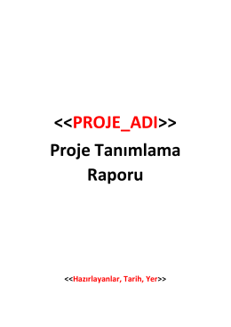 > Proje Tanımlama Raporu