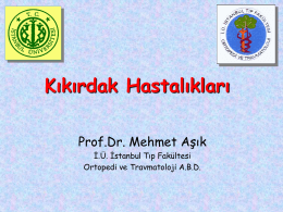 Kıkırdak Hastalıkları - Prof. Dr. Mehmet AŞIK