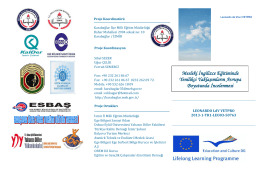 Mesleki İngilizce Eğitiminde Yenilikçi Yaklaşımların Avrupa
