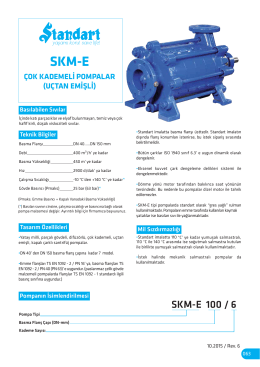 SKM-E 100 / 6 - Standart Pompa