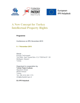 A New Concept for Turkey Intellectual Property Rights