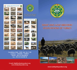 sheep and goat breeders` associations of turkey