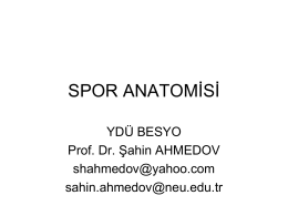 Anatomi-1 - Cyprus Integrative Medicine