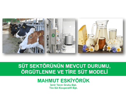 Süt Sektörünün Mevcut Durumu, Örgütlenme ve Tire Süt Modeli