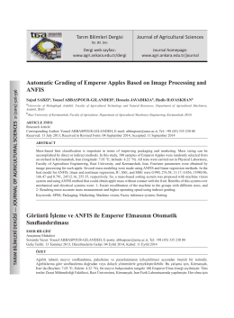 Automatic Grading of Emperor Apples Based on Image Processing