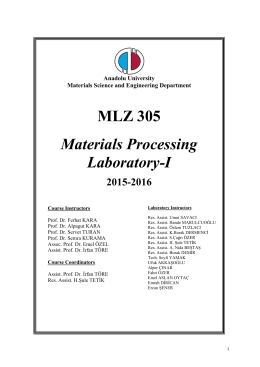 MLZ 305 Materials Processing Laboratory-I