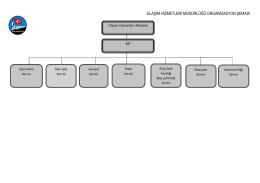 ulaşım hizmetleri müdürlüğü organizasyon şeması