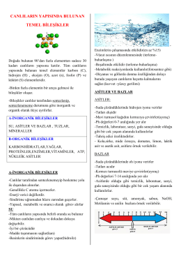 pdf format - Sanal Biyoloji