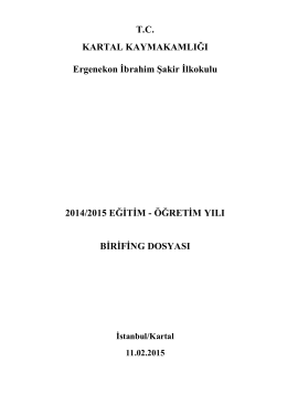 Brifing Dosyası - İSTANBUL / KARTAL