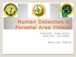 Human Detection in Forestal Area Videos