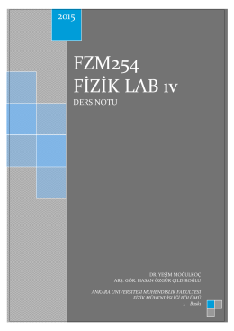 FZM254_28.2.15_sudalgaları_mikrodalga