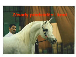 Zásady předvádění a posuzování koní a jejich výběr do plemenitby