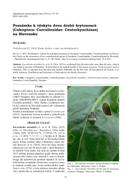 Poznámka k výskytu dvou druhů krytonosců (Coleoptera