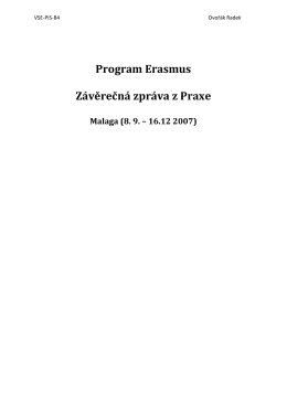 Program Erasmus Závěrečná zpráva z Praxe