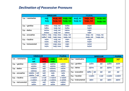 Declination of Possessive Pronouns