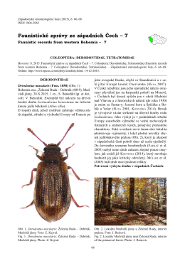 Faunistické zprávy ze západních Čech – 7. Coleoptera