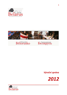 Výroční zpráva za rok 2012