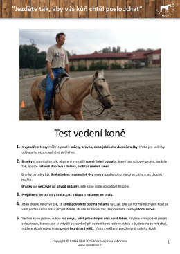 Test vedení koně