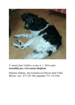 V místní části Valtířov se dne 4. 1. 2016 našel černobílý pes s