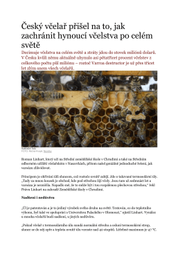 Český včelař přišel na to, jak zachránit hynoucí včelstva po celém