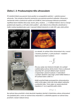 Úloha č. 2: Prozkoumejme tělo ultrazvukem
