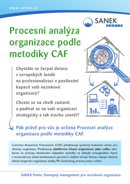 Procesní analýza / audit dle metodiky CAF