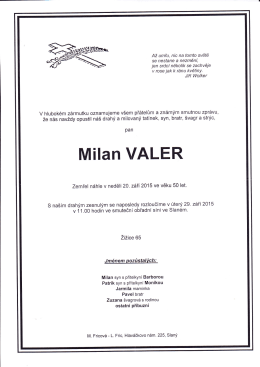 Milan VALER