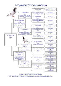 Evidence a rodokmeny poštovních holubů