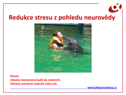 Jitka Ševčíková, MBA - Redukce stresu z pohledu neurovědy