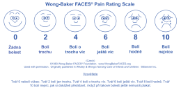Wong-Baker FACES® Pain Rating Scale