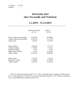 Závěrečný účet obce za rok 2015