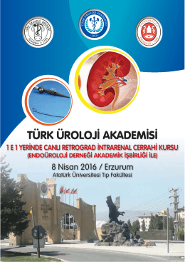 RIRCH Erzurum 2016 - Türk Üroloji Derneği