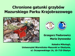 Chronione gatunki grzybów Mazurskiego Parku Krajobrazowego