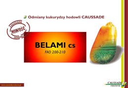 BELAMI cs - Caussade Nasiona