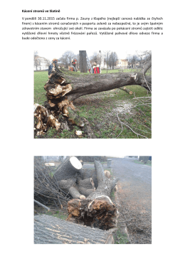 Kácení stromů ve Slatině V pondělí 30.11.2015 začala
