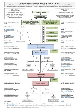 Schéma procesu EIA