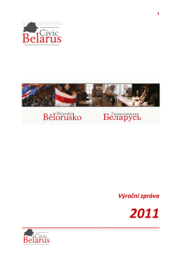 Výroční zpráva za rok 2011